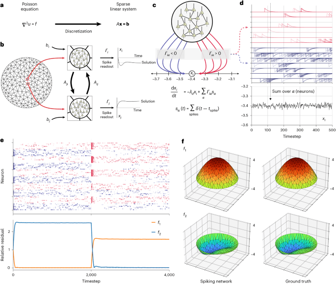 Neyromorfik chiplar: Murakkab matematik masalalarni yechishning yangi davri